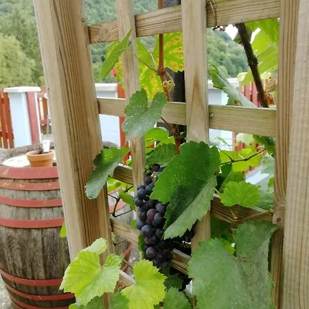 Holiday home Issy View House Senovo