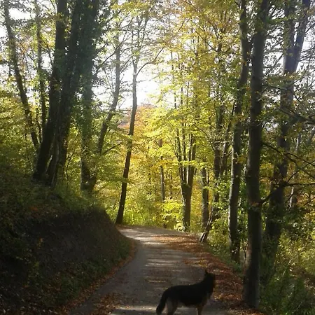 Holiday home Issy View House